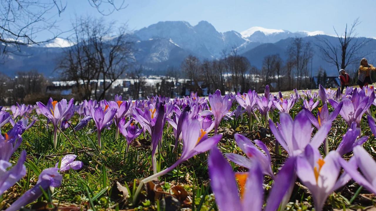 Pokoje Widokowe Szymaszkowa Zakopane Kültér fotó